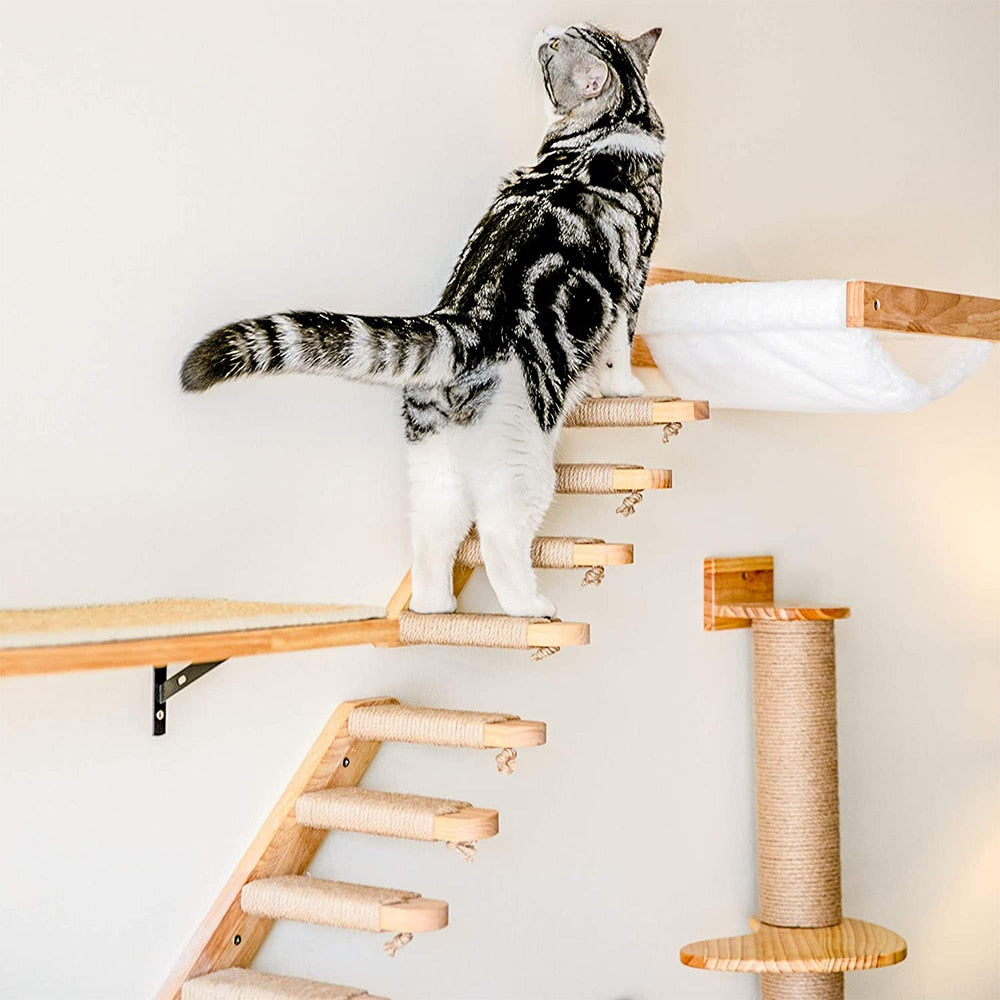 Cat Climbing Shelf Wall Mounted