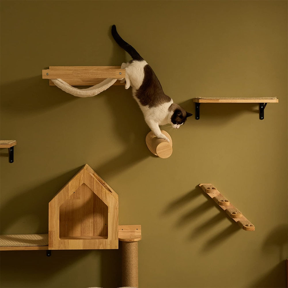 Cat Climbing Shelf Wall Mounted